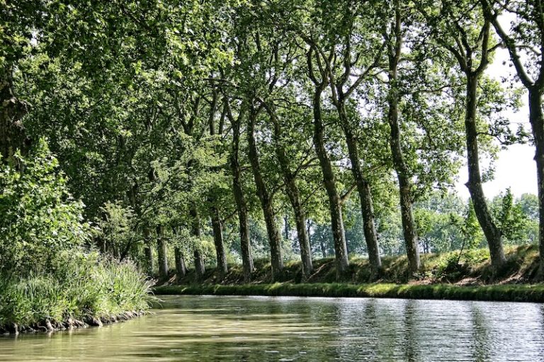 Le Canal du Midi : de Toulouse à Béziers