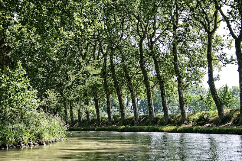 Le Canal du Midi : de Toulouse à Béziers