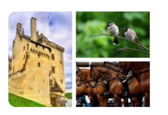 5 activités originales Loire à Vélo