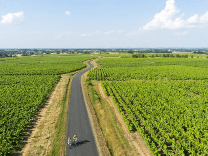 Le Vignoble Nantais à vélo