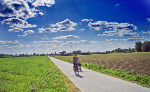 La Loire à vélo entre Angers et Nantes